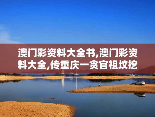 澳门彩资料大全书,澳门彩资料大全,传重庆一贪官祖坟挖出3公斤金砖