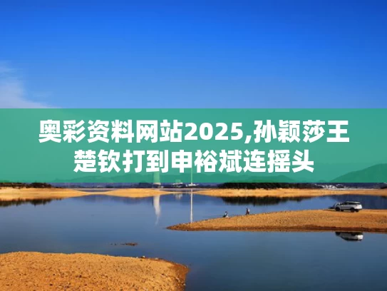 奥彩资料网站2025,孙颖莎王楚钦打到申裕斌连摇头