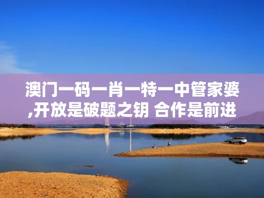 澳门一码一肖一特一中管家婆,开放是破题之钥 合作是前进之道
