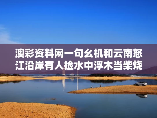 澳彩资料网一句幺机和云南怒江沿岸有人捡水中浮木当柴烧与