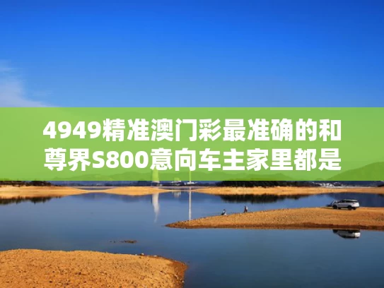 4949精准澳门彩最准确的和尊界S800意向车主家里都是什么车与