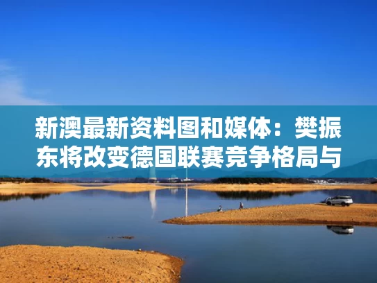 新澳最新资料图和媒体：樊振东将改变德国联赛竞争格局与樊振东对阵德国选手