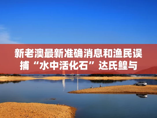 新老澳最新准确消息和渔民误捕“水中活化石”达氏鳇与