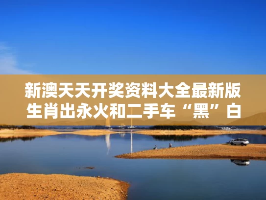 新澳天天开奖资料大全最新版生肖出永火和二手车“黑”白”或将成为小众颜色与