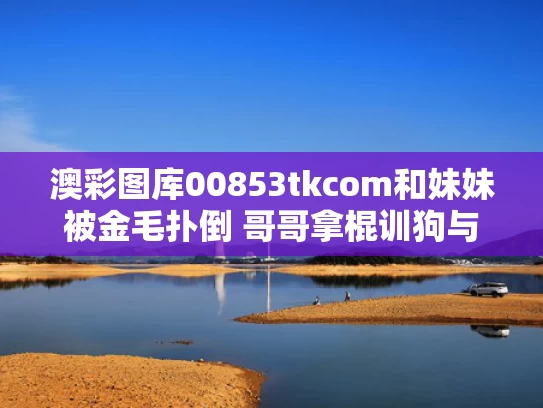 澳彩图库00853tkcom	和妹妹被金毛扑倒 哥哥拿棍训狗与