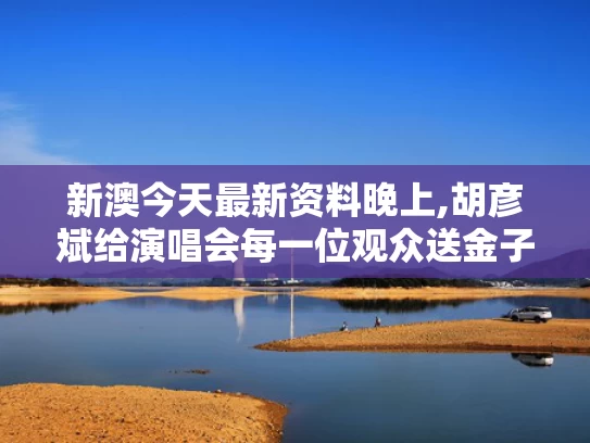 新澳今天最新资料晚上,胡彦斌给演唱会每一位观众送金子