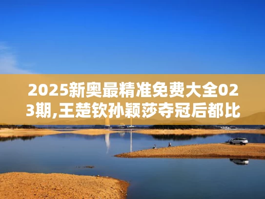 2025新奥最精准免费大全023期,王楚钦孙颖莎夺冠后都比了3