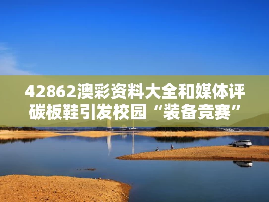 42862澳彩资料大全	和媒体评碳板鞋引发校园“装备竞赛”与
