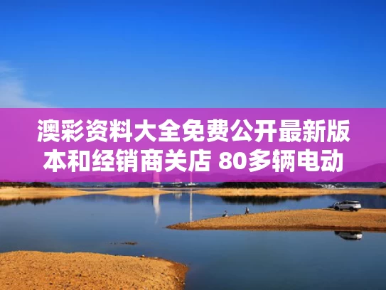 澳彩资料大全免费公开最新版本	和经销商关店 80多辆电动车被远程锁死与电瓶车被远程锁住怎么办