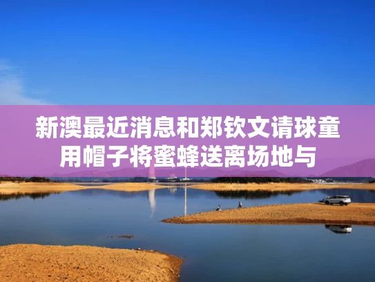 新澳最近消息和郑钦文请球童用帽子将蜜蜂送离场地与