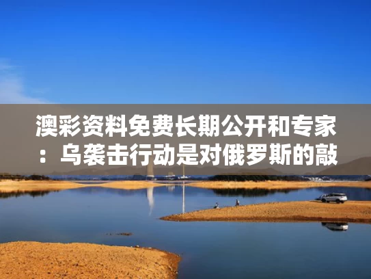 澳彩资料免费长期公开	和专家：乌袭击行动是对俄罗斯的敲打与乌俄大战一触即发