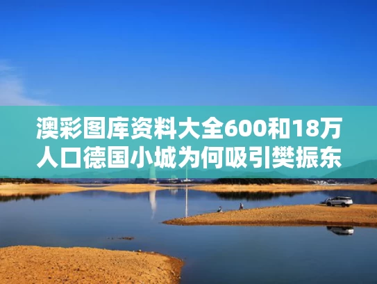 澳彩图库资料大全600	和18万人口德国小城为何吸引樊振东与为什么樊振东是世界排名第一