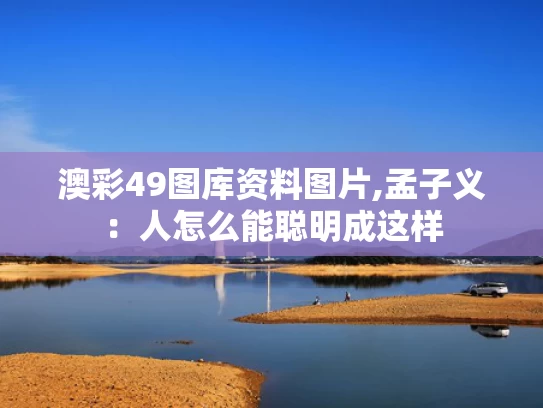 澳彩49图库资料图片,孟子义：人怎么能聪明成这样