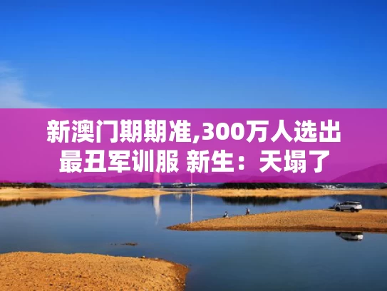 新澳门期期准,300万人选出最丑军训服 新生：天塌了
