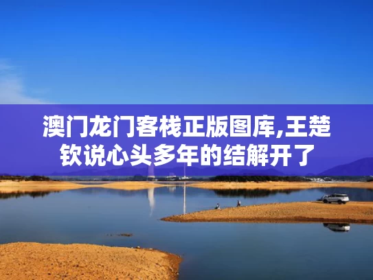 澳门龙门客栈正版图库,王楚钦说心头多年的结解开了