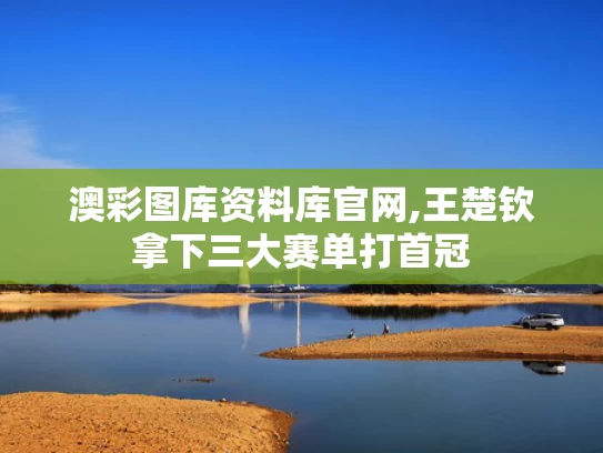 澳彩图库资料库官网,王楚钦拿下三大赛单打首冠