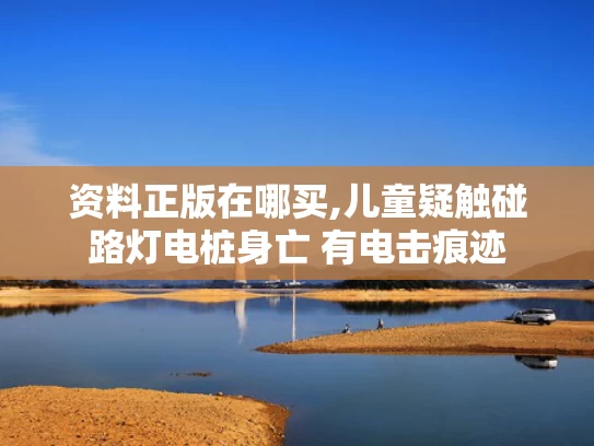 资料正版在哪买,儿童疑触碰路灯电桩身亡 有电击痕迹