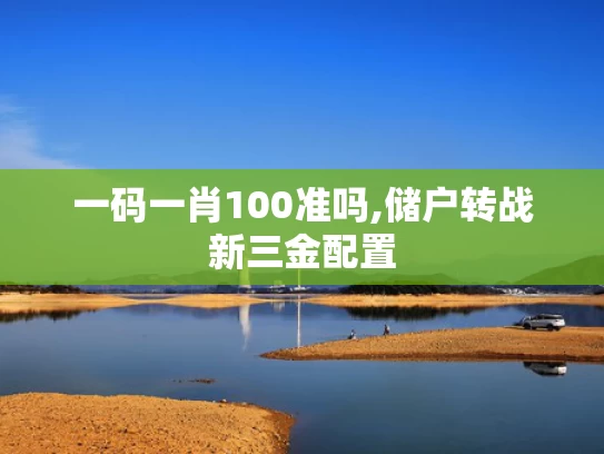 一码一肖100准吗,储户转战新三金配置