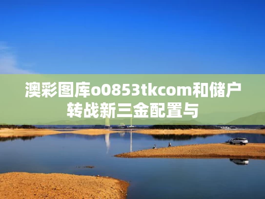 澳彩图库o0853tkcom和储户转战新三金配置与