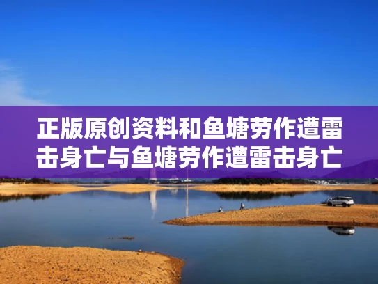 admin 第304页