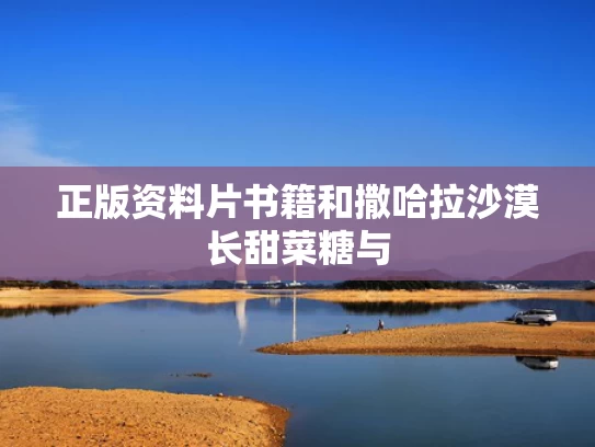 新闻中心 第16页