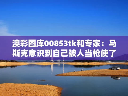澳彩图库00853tk	和专家：马斯克意识到自己被人当枪使了与马斯克这个人