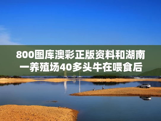 800图库澳彩正版资料	和湖南一养殖场40多头牛在喂食后暴毙与养殖场喂牛视频