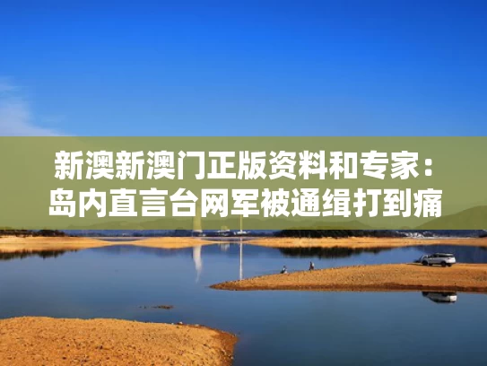 新澳新澳门正版资料和专家：岛内直言台网军被通缉打到痛处与台湾网军