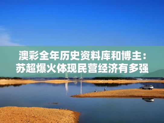 澳彩全年历史资料库和博主：苏超爆火体现民营经济有多强与苏超个人资料