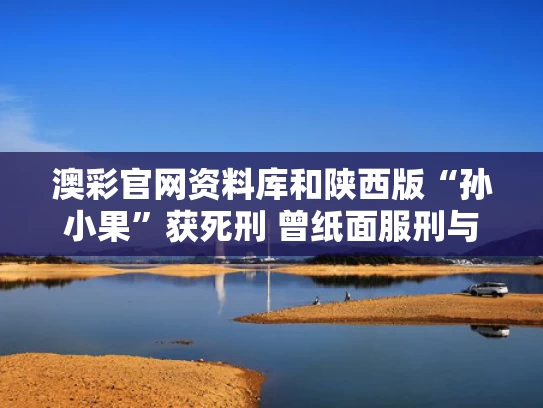 澳彩官网资料库和陕西版“孙小果”获死刑 曾纸面服刑与西安孙小果