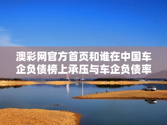 澳彩网官方首页	和谁在中国车企负债榜上承压与车企负债率排名