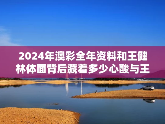 2024年澳彩全年资料	和王健林体面背后藏着多少心酸与王健林 身体