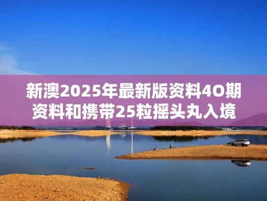 新澳2025年最新版资料4O期资料和携带25粒摇头丸入境与