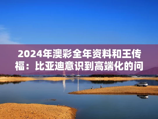 2024年澳彩全年资料	和王传福：比亚迪意识到高端化的问题与王传福谈比亚迪转型