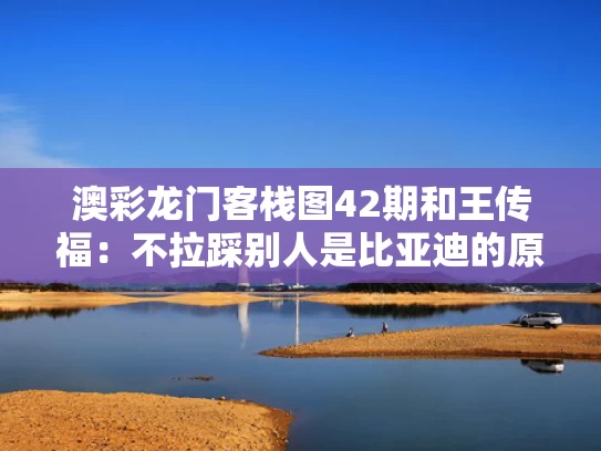 澳彩龙门客栈图42期和王传福：不拉踩别人是比亚迪的原则与