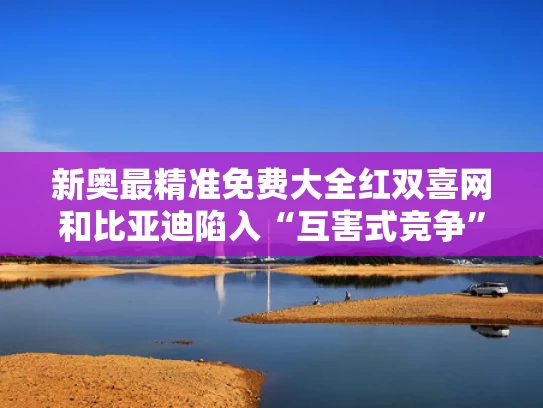 新奥最精准免费大全红双喜网和比亚迪陷入“互害式竞争”了吗与比亚迪竟争对手