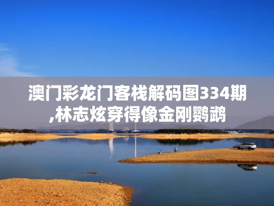 澳门彩龙门客栈解码图334期,林志炫穿得像金刚鹦鹉