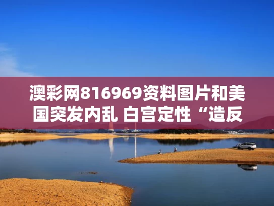 澳彩网816969资料图片	和美国突发内乱 白宫定性“造反”与
