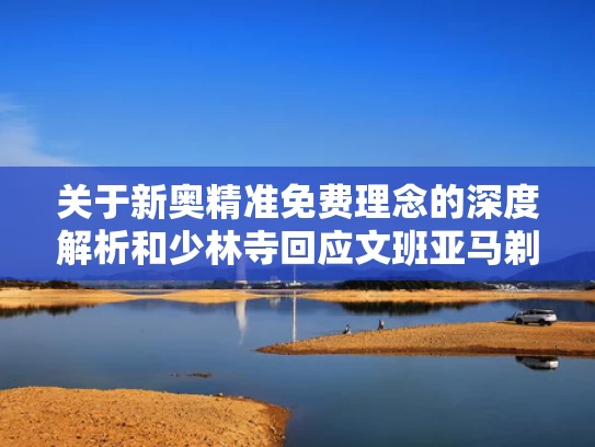 关于新奥精准免费理念的深度解析和少林寺回应文班亚马剃发闭关与文班亚马集锦