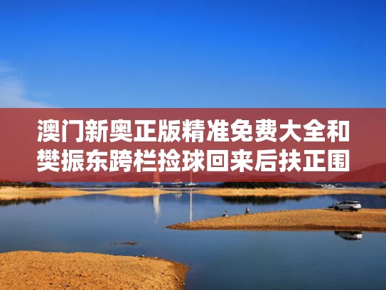 澳门新奥正版精准免费大全和樊振东跨栏捡球回来后扶正围挡与樊振东神级救球 对方直接愣住鼓掌