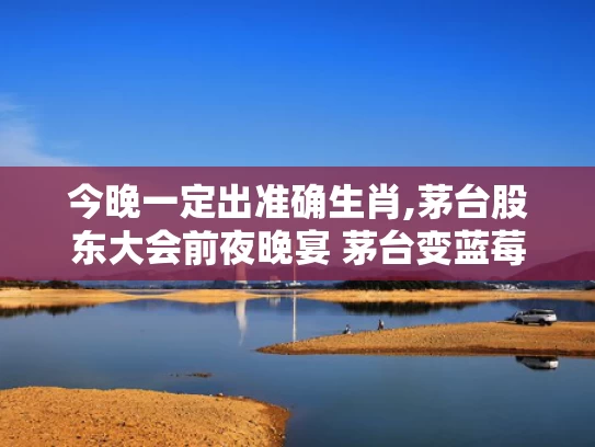 今晚一定出准确生肖,茅台股东大会前夜晚宴 茅台变蓝莓汁