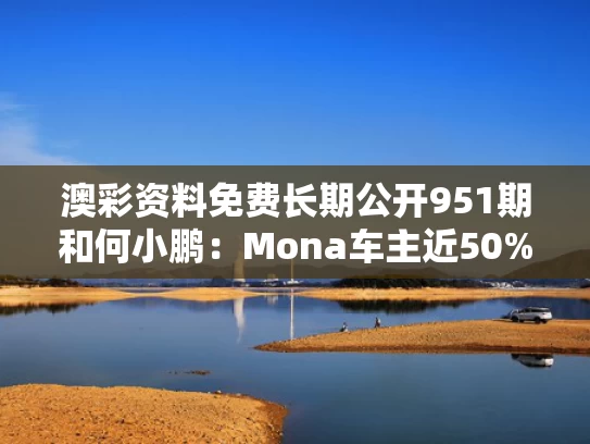 澳彩资料免费长期公开951期和何小鹏：Mona车主近50%是女孩子与何小鹏是哪里的