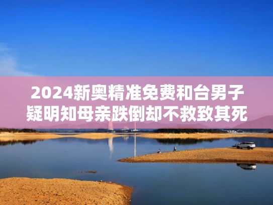 2024新奥精准免费和台男子疑明知母亲跌倒却不救致其死亡与