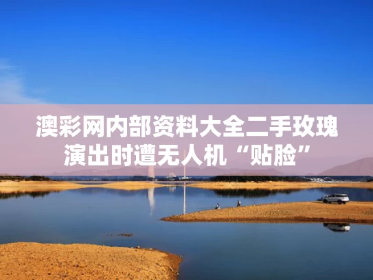 澳彩网内部资料大全	二手玫瑰演出时遭无人机“贴脸”