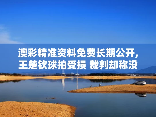 澳彩精准资料免费长期公开,王楚钦球拍受损 裁判却称没关系