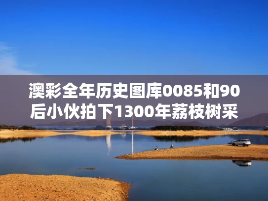 澳彩全年历史图库0085和90后小伙拍下1300年荔枝树采摘权与2021摘荔枝