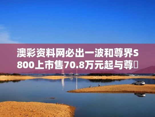 澳彩资料网必出一波和尊界S800上市售70.8万元起与尊榊sama