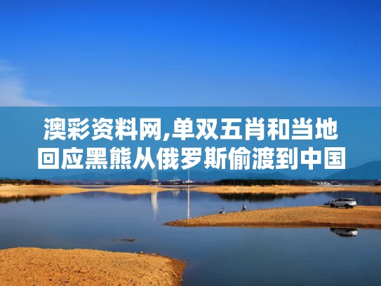 澳彩资料网,单双五肖和当地回应黑熊从俄罗斯偷渡到中国与