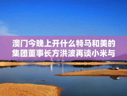 澳门今晚上开什么特马和美的集团董事长方洪波再谈小米与美的公司董事长方洪波
