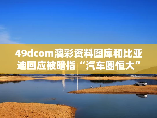 49dcom澳彩资料图库	和比亚迪回应被暗指“汽车圈恒大”与